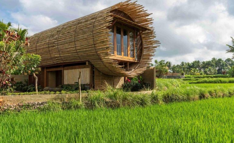 Menginap di Bali Bee House, Harmoni Alam dan Kenyamanan Modern