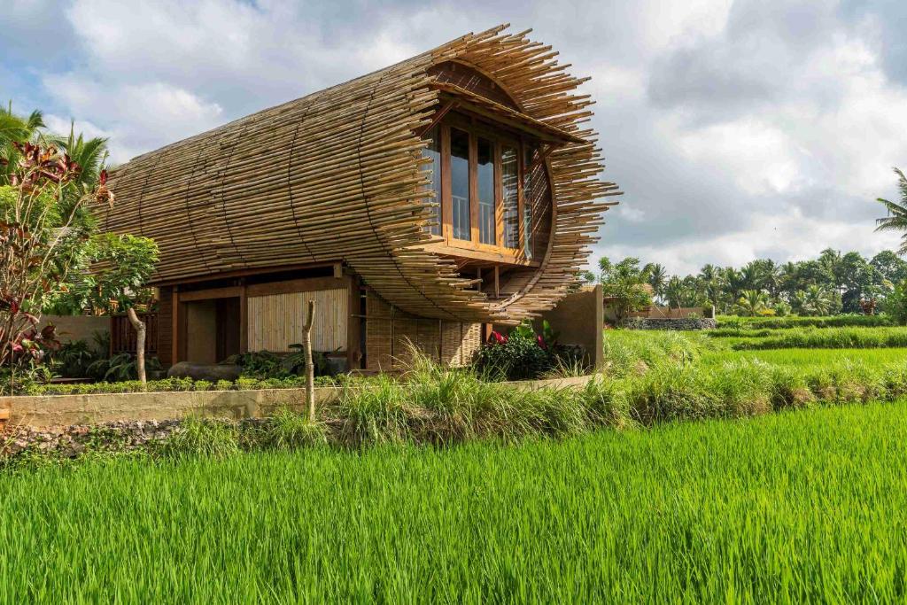 Menginap di Bali Bee House, Harmoni Alam dan Kenyamanan Modern