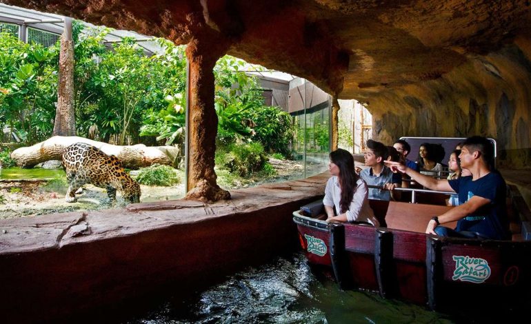 Liburan Keluarga di Bangkok, Petualangan Seru untuk Semua Usia