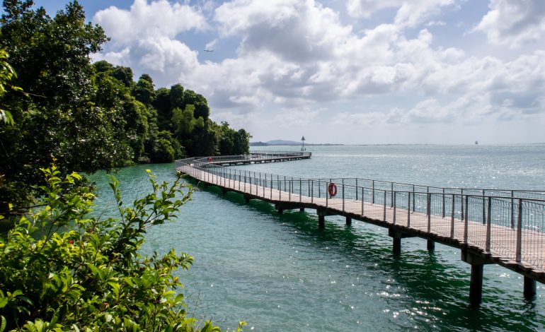 Pulau Ubin, Pesona Alam yang Tersembunyi di Singapura