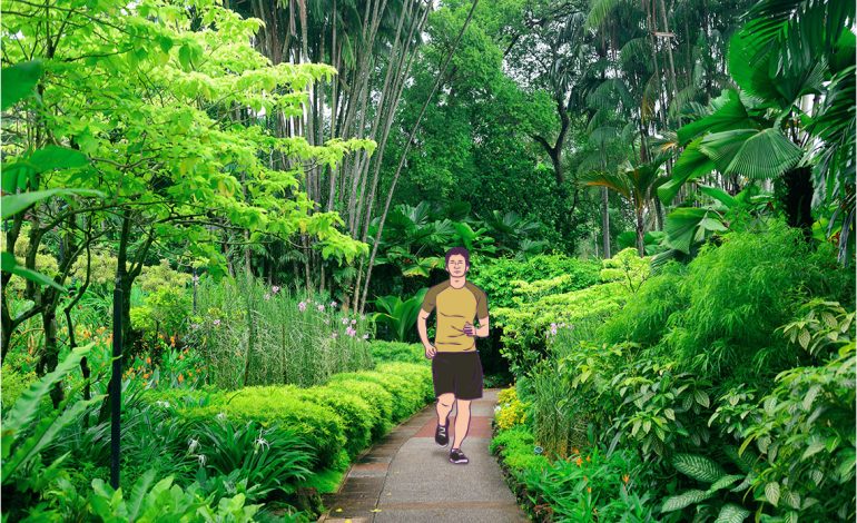 Menjelajahi The Green Corridor, Perjalanan di Tengah Keindahan Alam