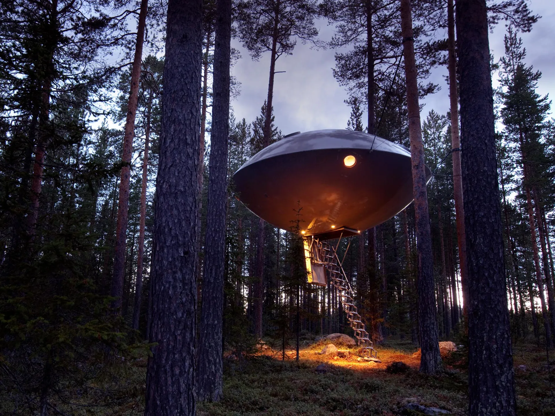 The Treehotel, Menginap di Antara Langit dan Hutan