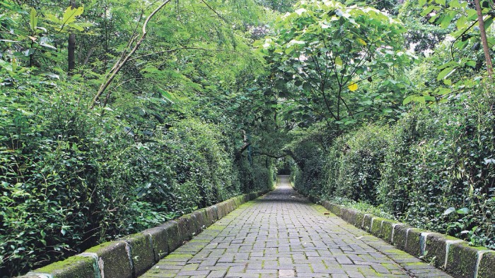 Hutan Kota Srengseng, Paru-Paru Hijau Jakarta yang Menyegarkan