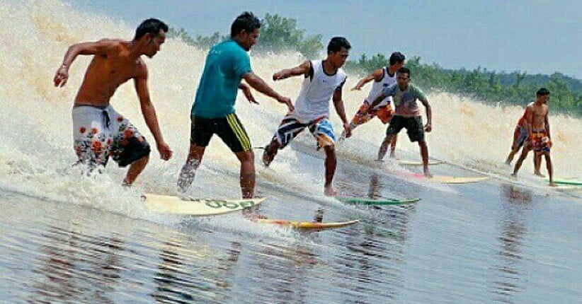 Menyelami Keunikan Festival Bekudo Bono di Riau, Antara Tradisi dan Kesenian