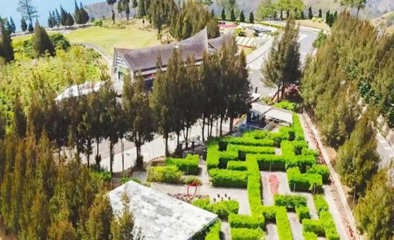 Taman Labirin Simalem, Petualangan Hijau di Medan