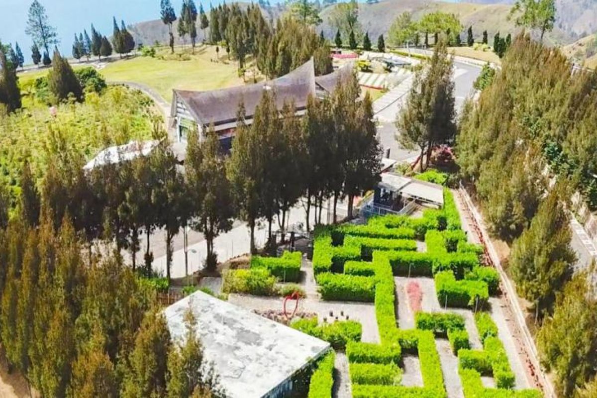 Taman Labirin Simalem, Petualangan Hijau di Medan