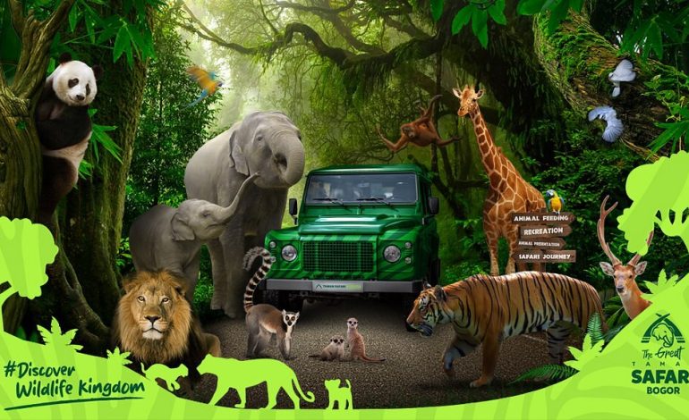 Taman Safari Bogor, Wisata Alam dan Satwa yang Menakjubkan di Jantung Jawa Barat