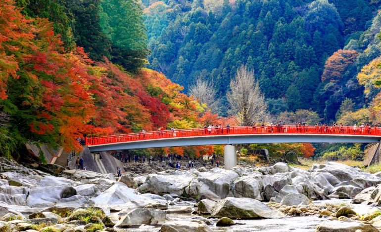 Wisata Alam di Aichi, Pesona Alam yang Memikat