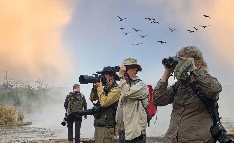 Bird Watching, Menyaksikan Keindahan Alam melalui Pengamatan Burung