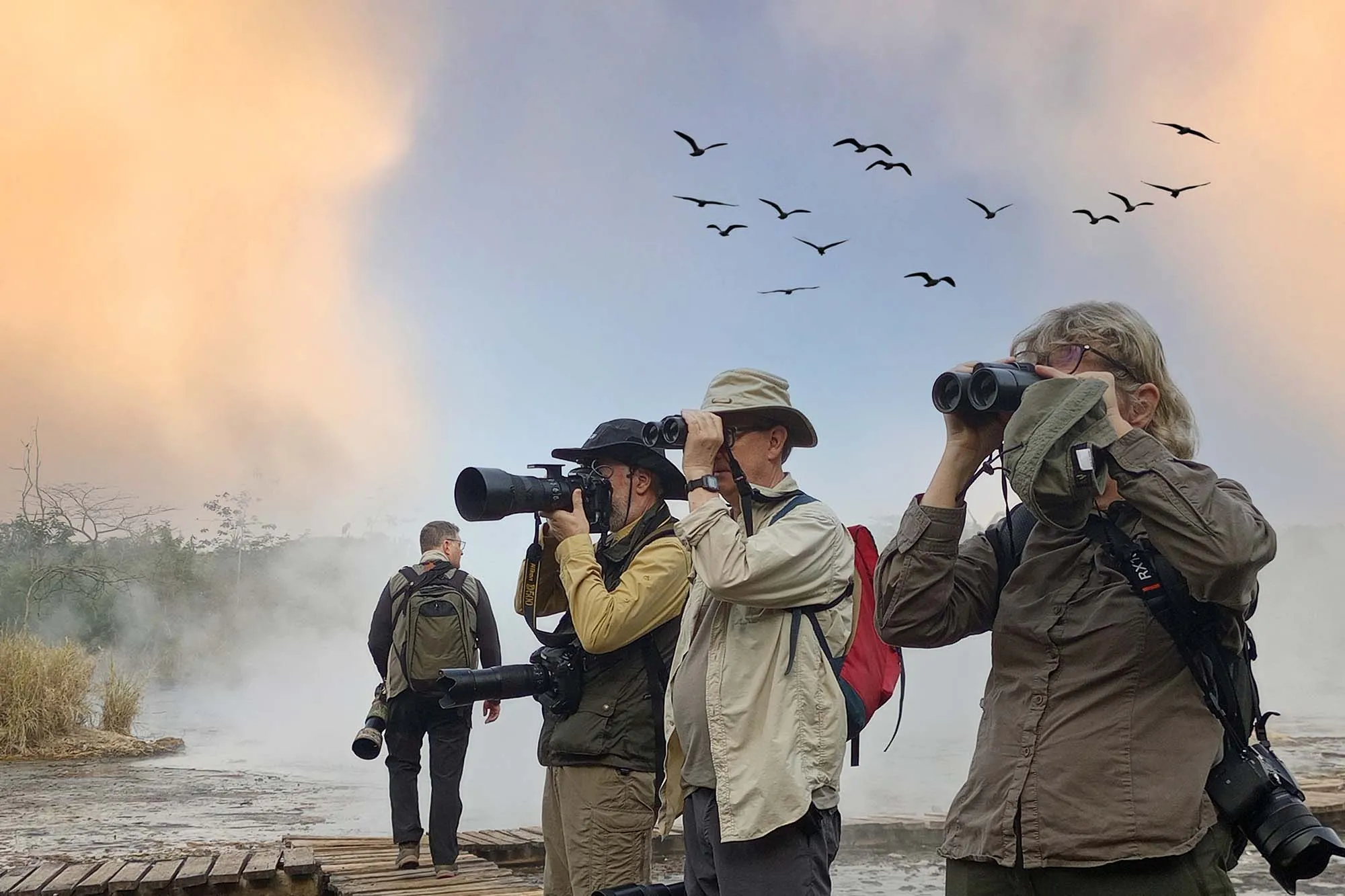 Bird Watching, Menyaksikan Keindahan Alam melalui Pengamatan Burung