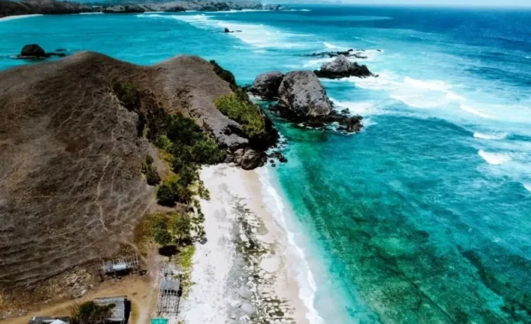 Menjelajahi Keindahan Teluk Gurita, Surga Alam di Nusa Tenggara Timur