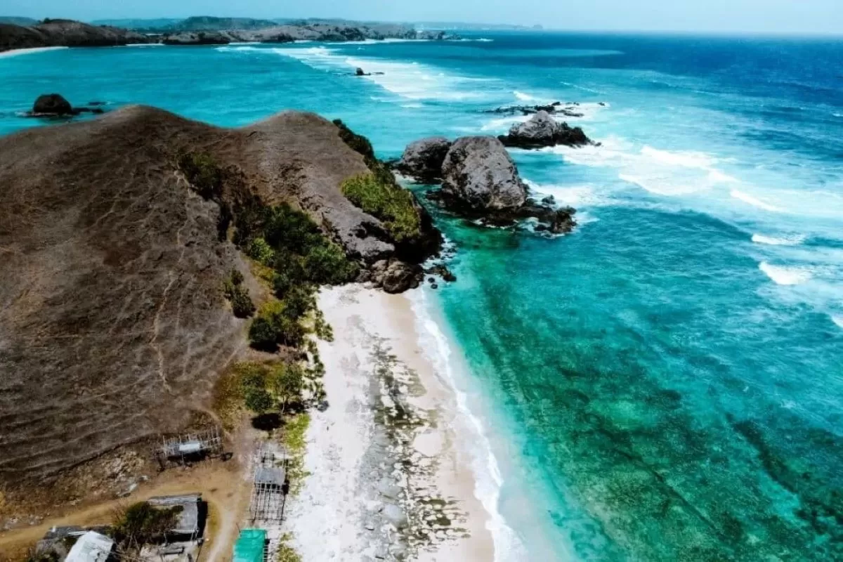 Menjelajahi Keindahan Teluk Gurita, Surga Alam di Nusa Tenggara Timur