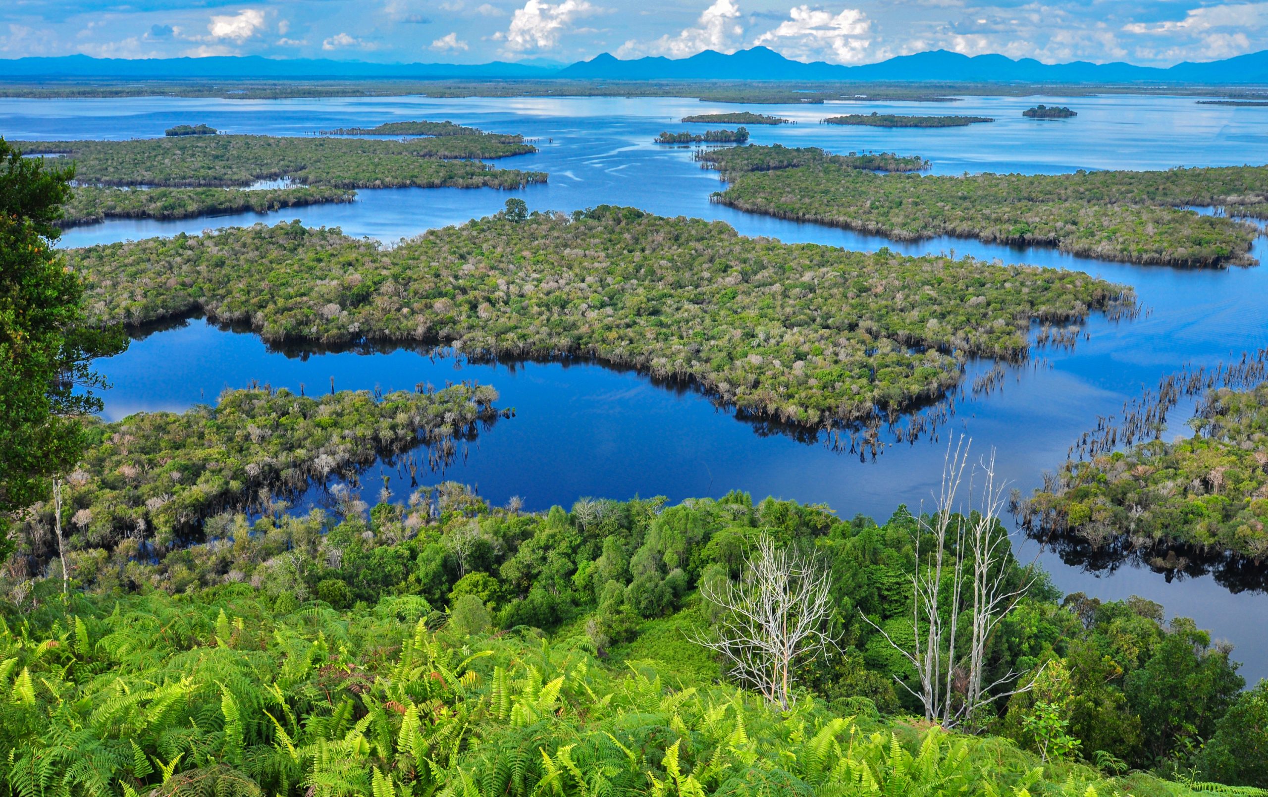 Keindahan Danau Sentarum, Permen Alam Kalimantan Barat
