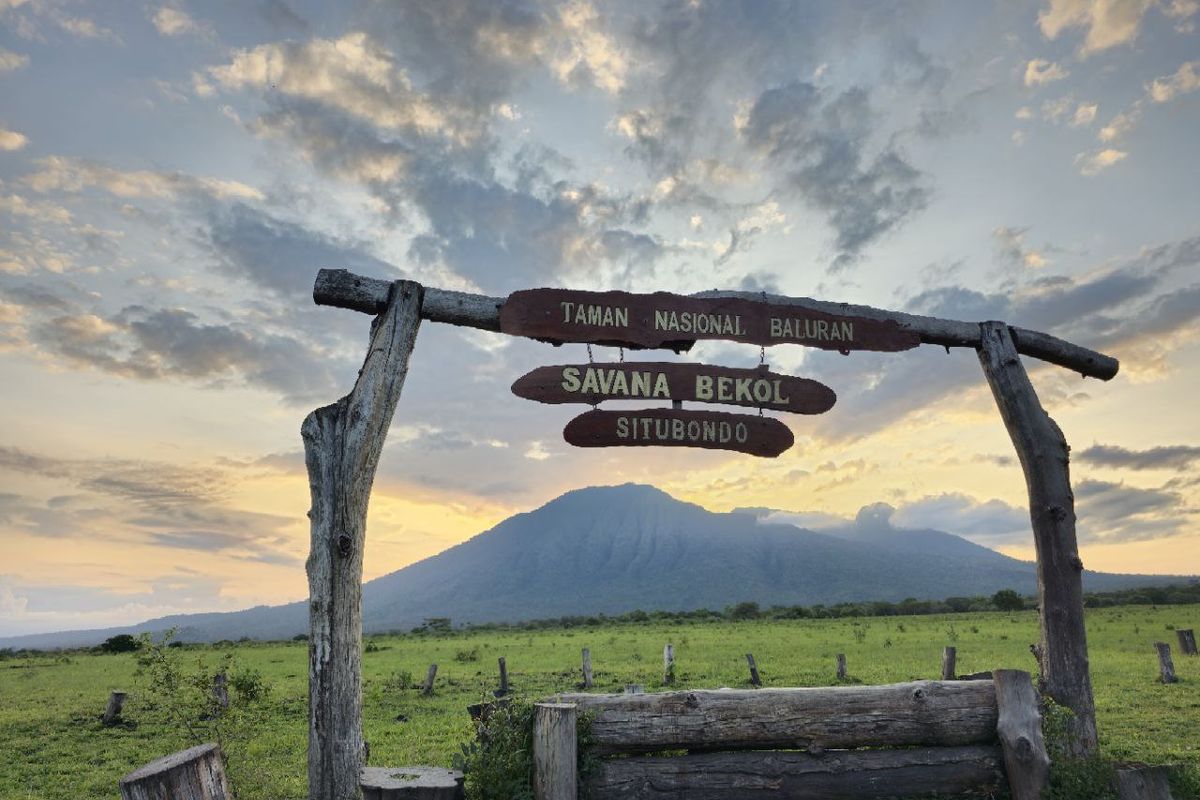 Taman Nasional Baluran, Afrika Kecil di Ujung Timur Jawa