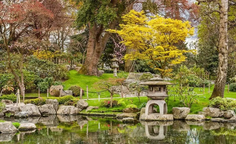 Richmond Park: Oase Hijau dengan Rusa Liar