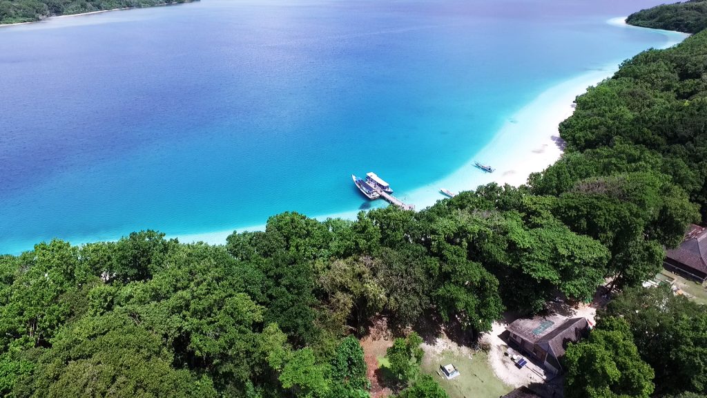 Menjelajahi Taman Nasional Ujung Kulon, Surga Alam dan Warisan Dunia di Ujung Banten