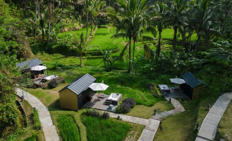 Menginap di Tengah Alam, Pengalaman Unik di Bobocabin Ubud, Bali