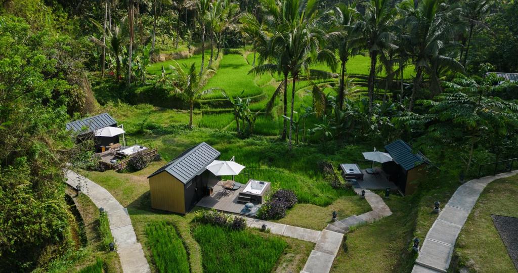 Menginap di Tengah Alam, Pengalaman Unik di Bobocabin Ubud, Bali