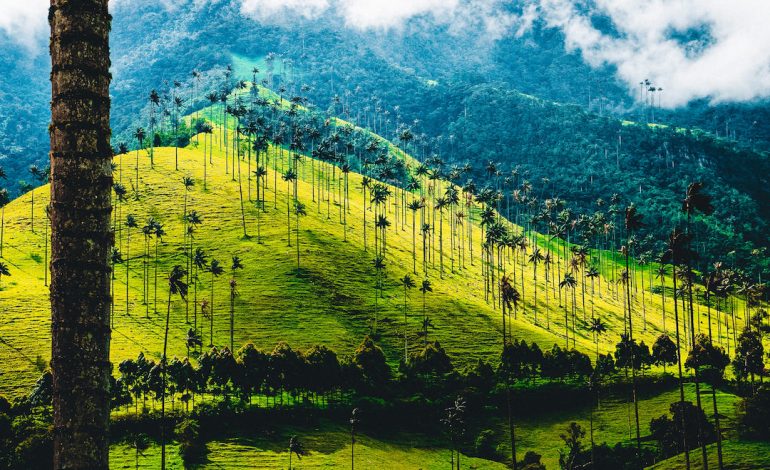Valle de Cocora, Permen Alam Kolombia