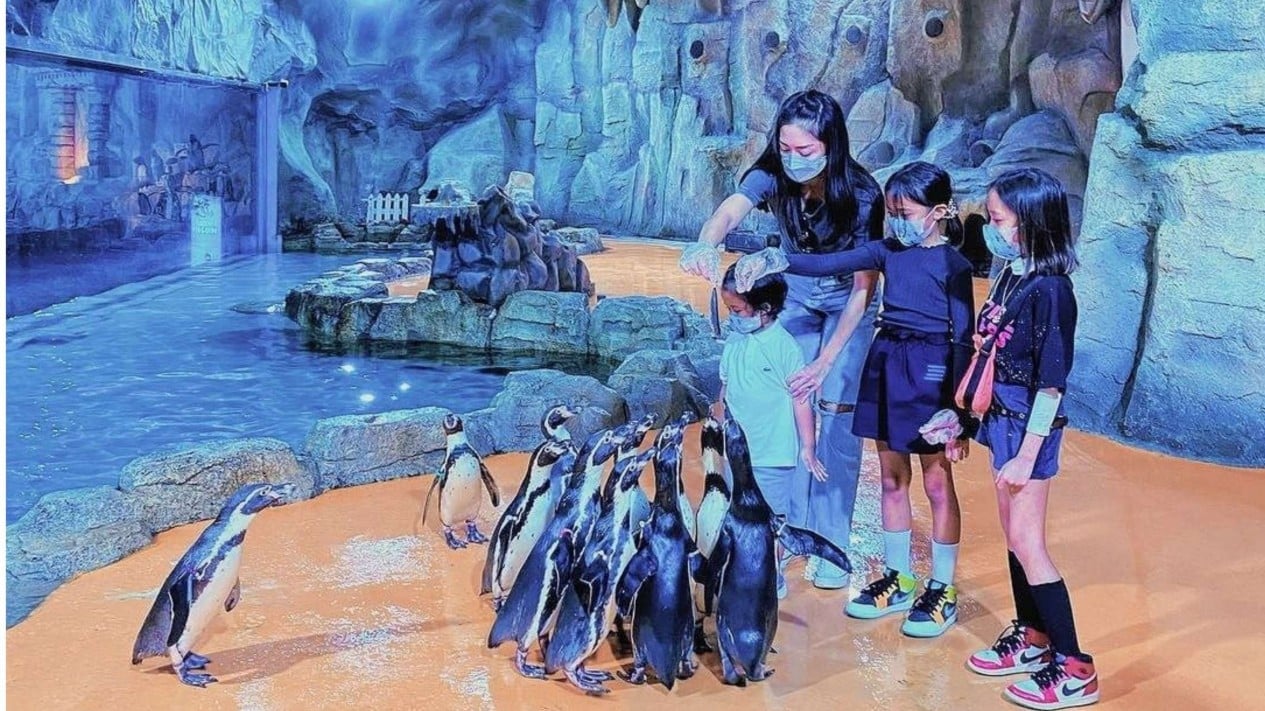 Ocean Dream Samudra Ancol, Petualangan Edukatif Bertema Laut di Tengah Kota