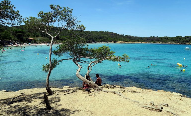 Pesona Pulau Porquerolles, Permata Mediterania di Prancis