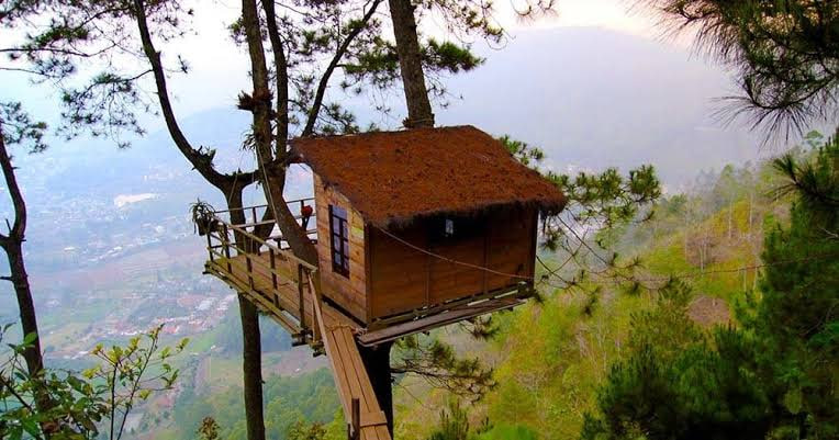 Menginap di Tengah Hutan, Pengalaman Unik di Penginapan Treehouse Indonesia