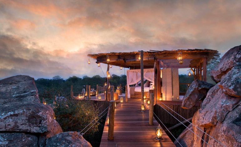 Mengintip Kemewahan Lion Sands Treehouse, Petualangan Romantis di Alam Liar Afrika