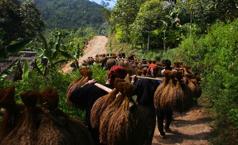 Festival Panen Raya di Kampung Adat Ciptagelar, Merayakan Alam dan Tradisi