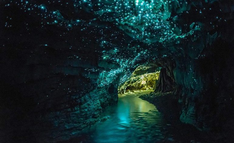 Gua Waitomo, Keajaiban Alam New Zealand