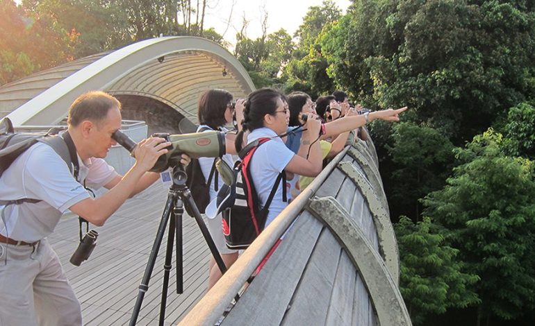 Panduan Lengkap Birdwatching, Menikmati Keindahan Burung di Alam