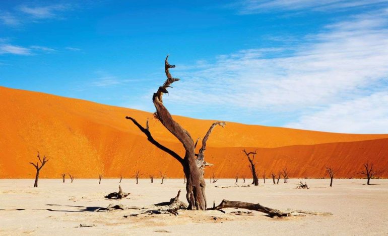 Gurun Namib: Keajaiban Alam di Pesisir Afrika