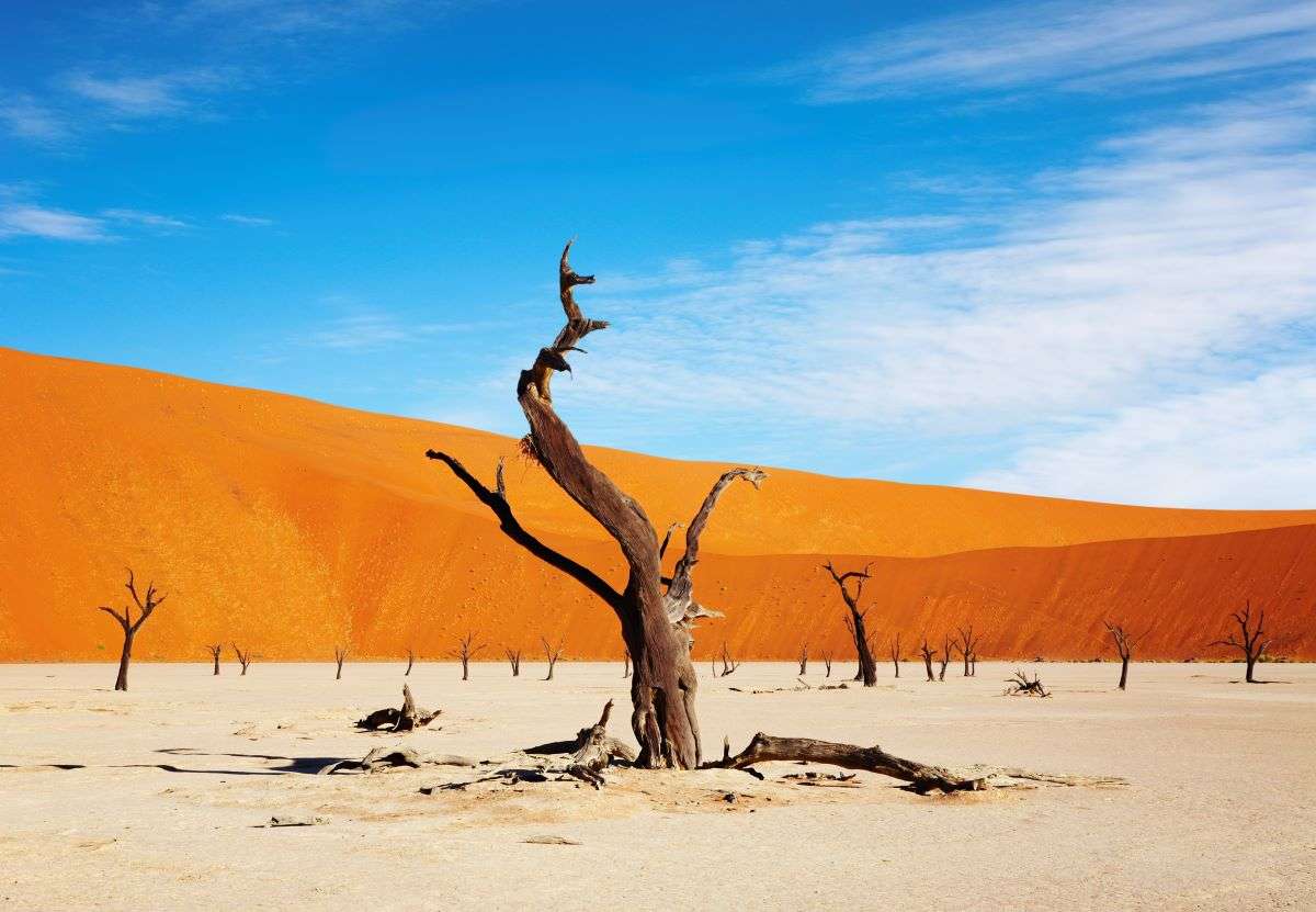 Gurun Namib: Keajaiban Alam di Pesisir Afrika