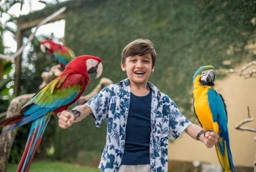 Keunikan Taman Burung Bali Sebagai Destinasi Edukatif Keluarga