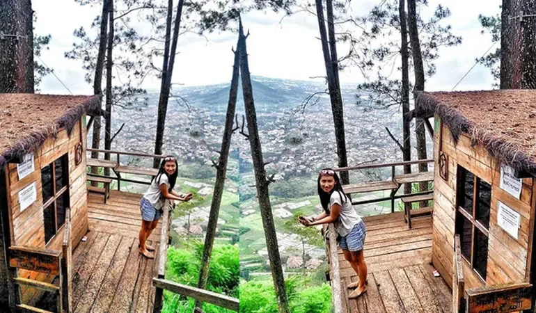 Omah Kayu Batu, Sensasi Menginap di Rumah Pohon dengan Panorama Kota Malang