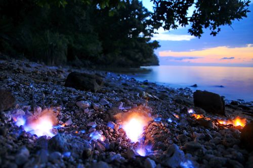 Tanjung Api, Fenomena Alam Unik di Teluk Tomini, Sulawesi Tengah