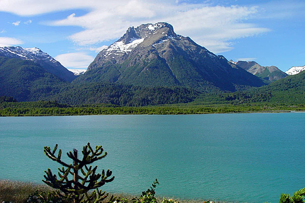 Danau Argentino, Permata Alam di Patagonia Argentina