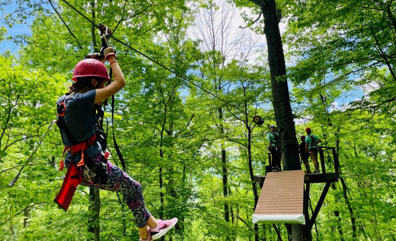 Zip-Lining, Petualangan Meluncur di Atas Ketinggian