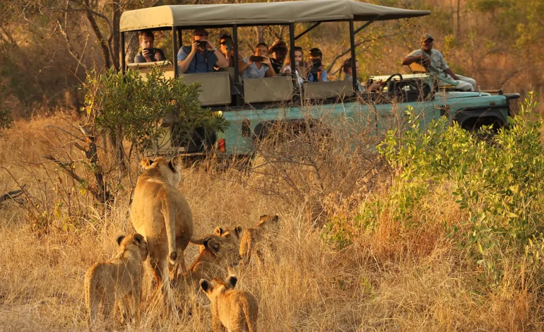 Taman Nasional Kruger, Permata Alam Liar Afrika Selatan