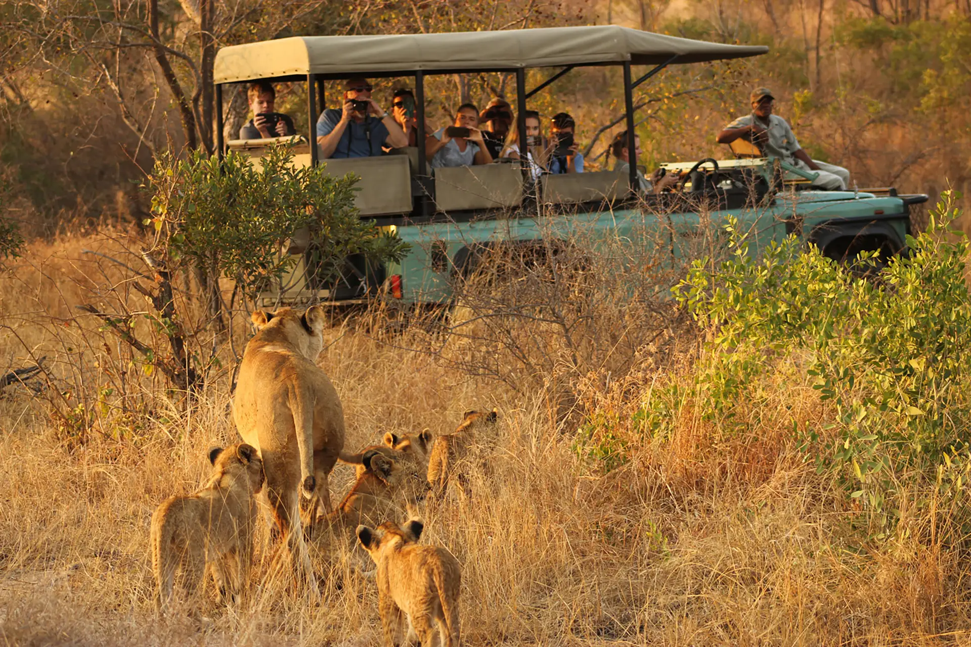 Taman Nasional Kruger, Permata Alam Liar Afrika Selatan