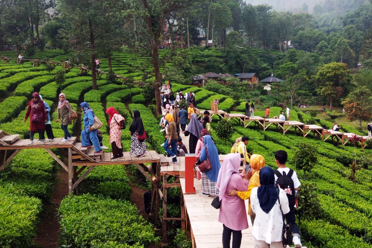 Agro Wisata Puncak Bogor, Liburan Edukatif dan Menyegarkan untuk Keluarga