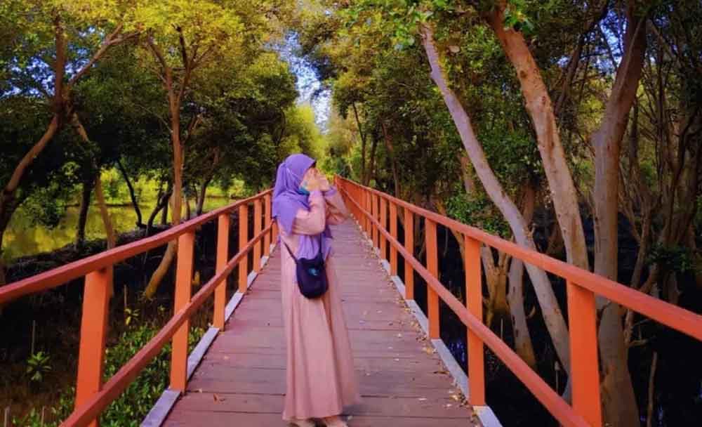 Keindahan dan Edukasi di Hutan Mangrove Karangsong, Indramayu