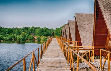 Wisata Alam di Mangrove Angke Kapuk, Liburan Edukatif dan Ramah Keluarga