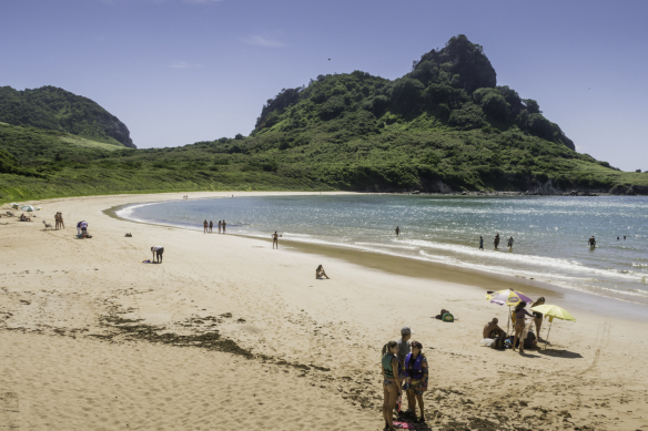 Fernando de Noronha, Surga Tersembunyi di Brasil