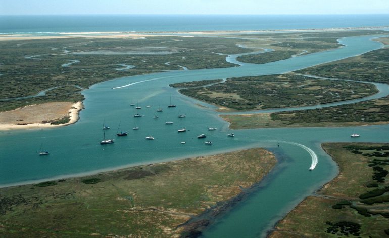 Ria Formosa Natural Park, Permata Basah Algarve yang Kaya Kehidupan Liar