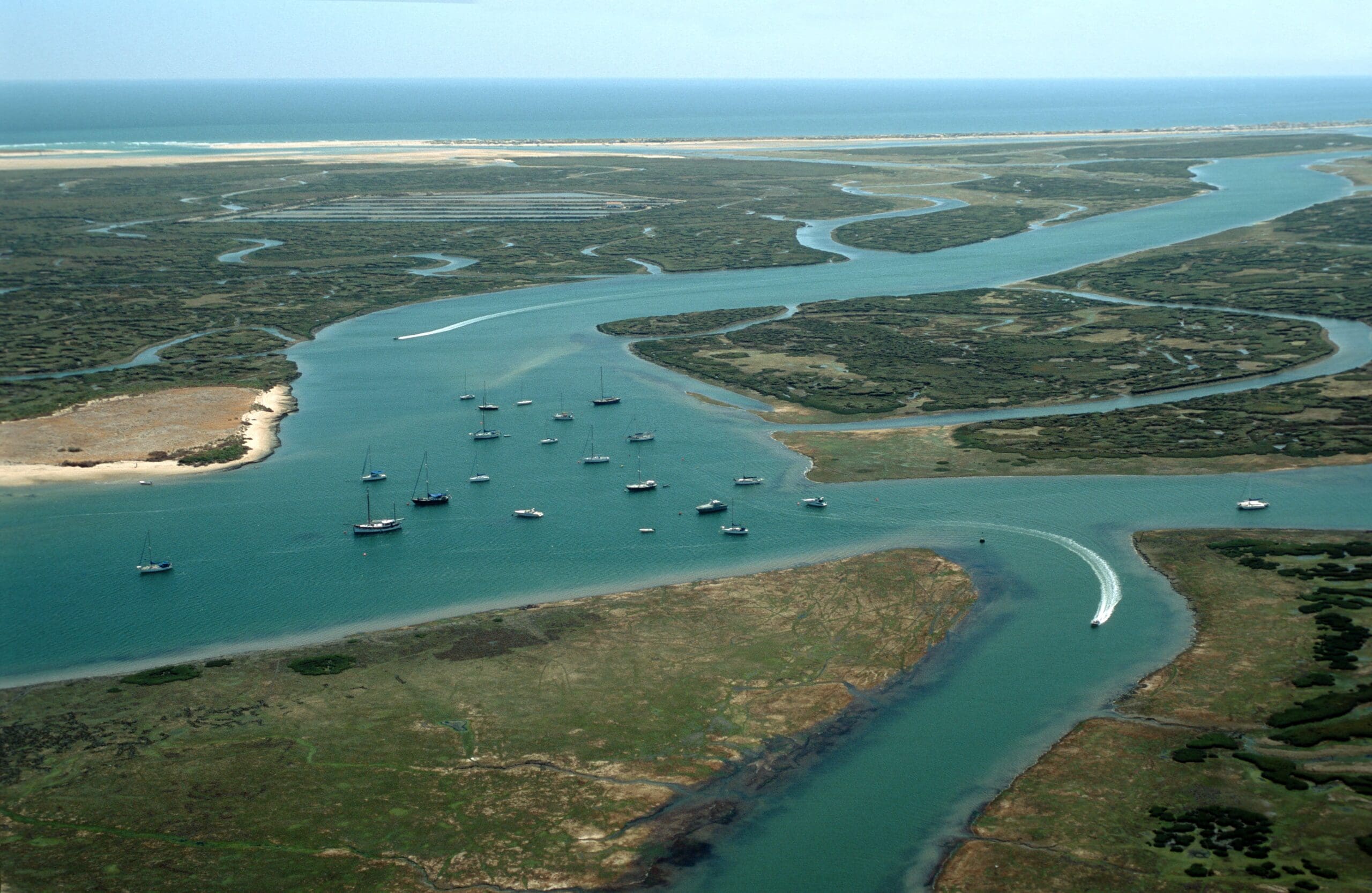 Ria Formosa Natural Park, Permata Basah Algarve yang Kaya Kehidupan Liar