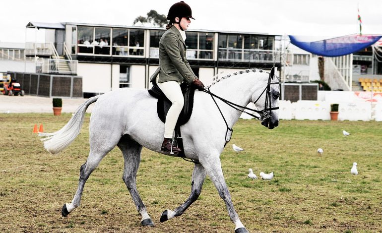 Menunggang Kuda, Petualangan yang Menyatu dengan Alam dan Sejarah