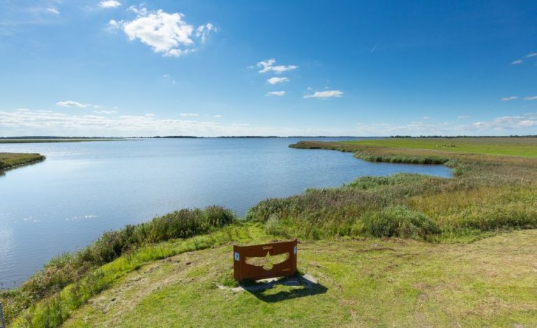 Lauwersmeer National Park, Surga Burung dan Bintang di Utara Belanda