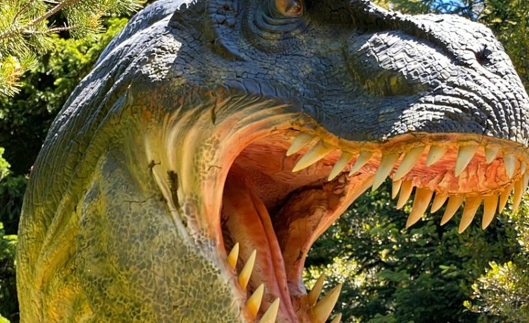 Parque Nahuelito, Petualangan Prehistoris di Tengah Keindahan Patagonia Bariloche