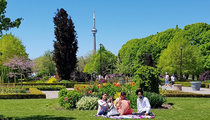 Taman Pulau Toronto, Oase Tenang di Tengah Hiruk-Pikuk Kota