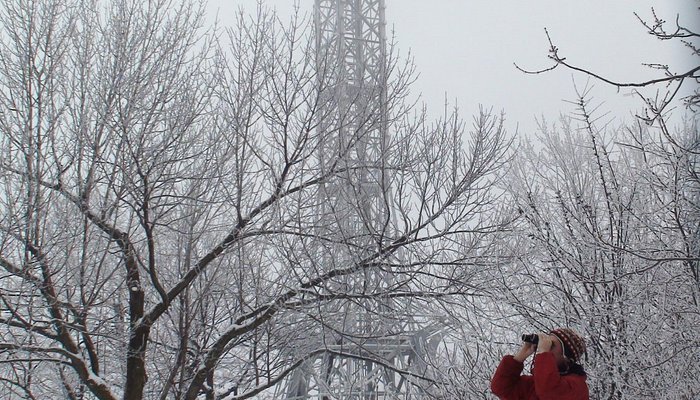 Gunung Royal, Jantung Hijau Montreal dengan Panorama Ikonik